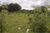 Terreno, 2000 m² - Foto 2