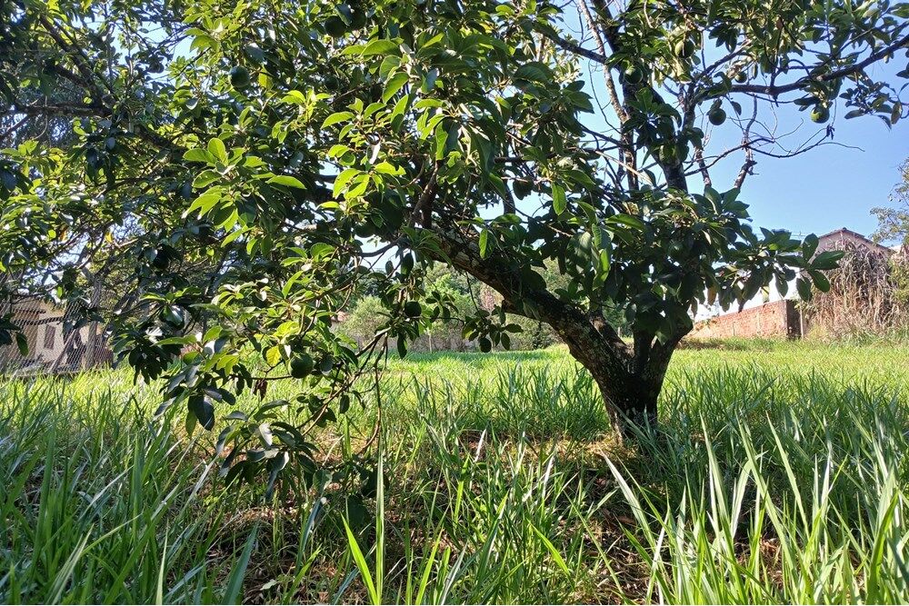 Terreno à venda, 1384m² - Foto 16
