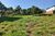 Terreno, 1384 m² - Foto 17