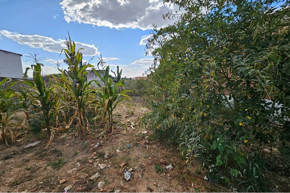 Loteamento e Condomínio, 355 m² - Foto 7