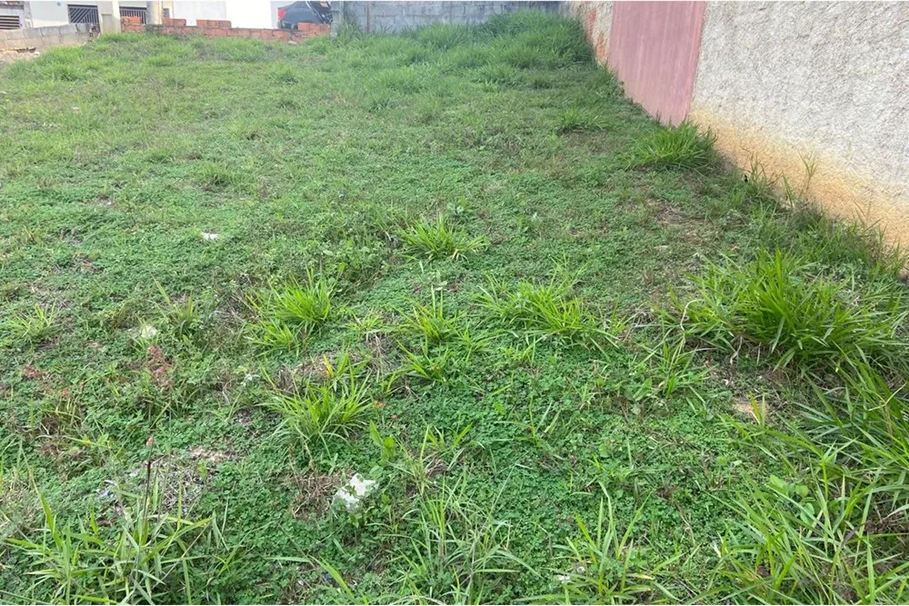 Terreno, 125 m² - Foto 2