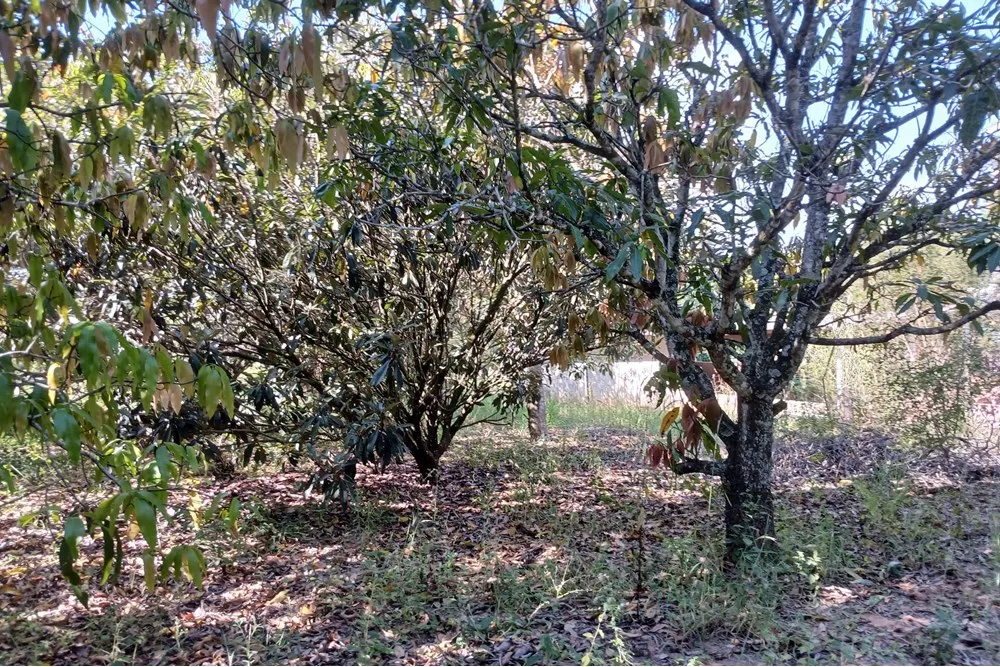 Terreno, 1400 m² - Foto 2