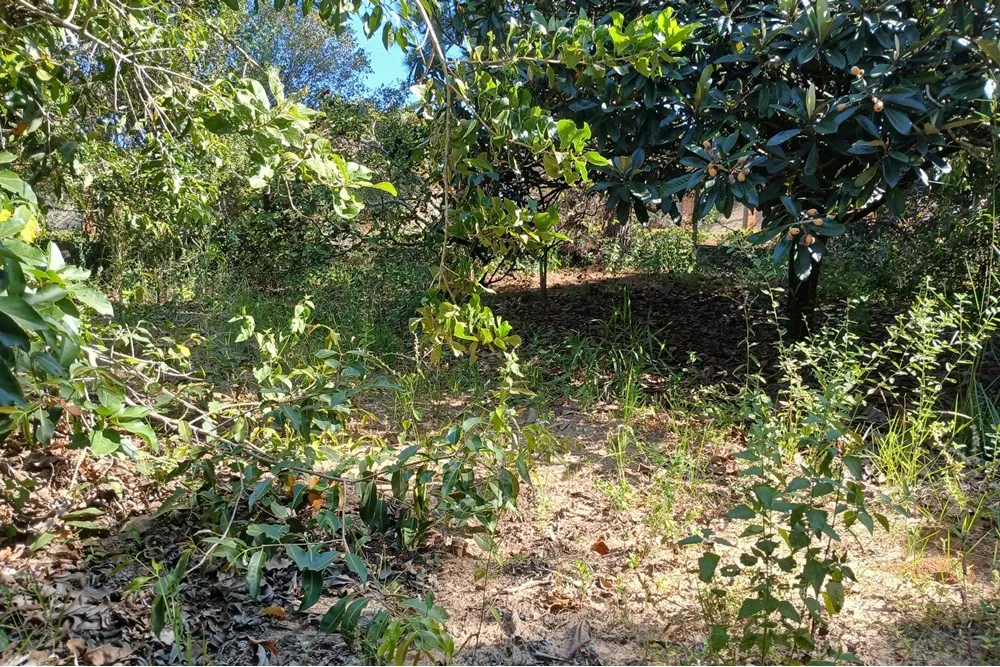 Terreno, 1400 m² - Foto 3