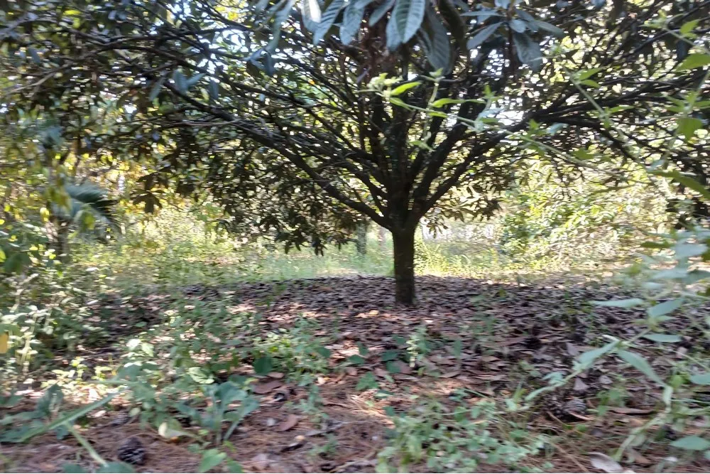 Terreno, 1400 m² - Foto 1