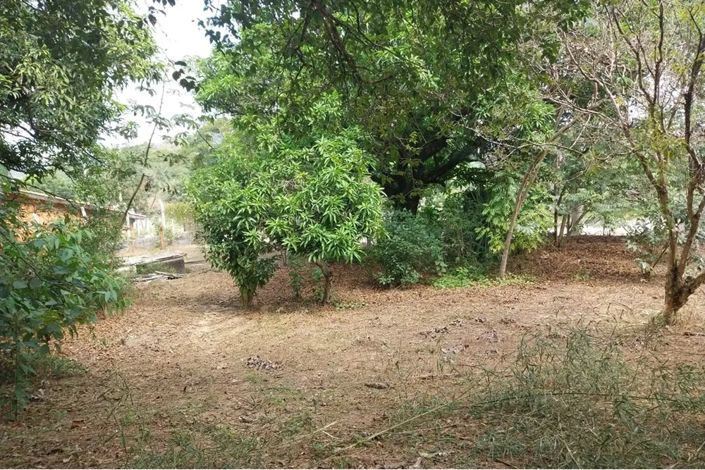 Terreno, 2803 m² - Foto 3