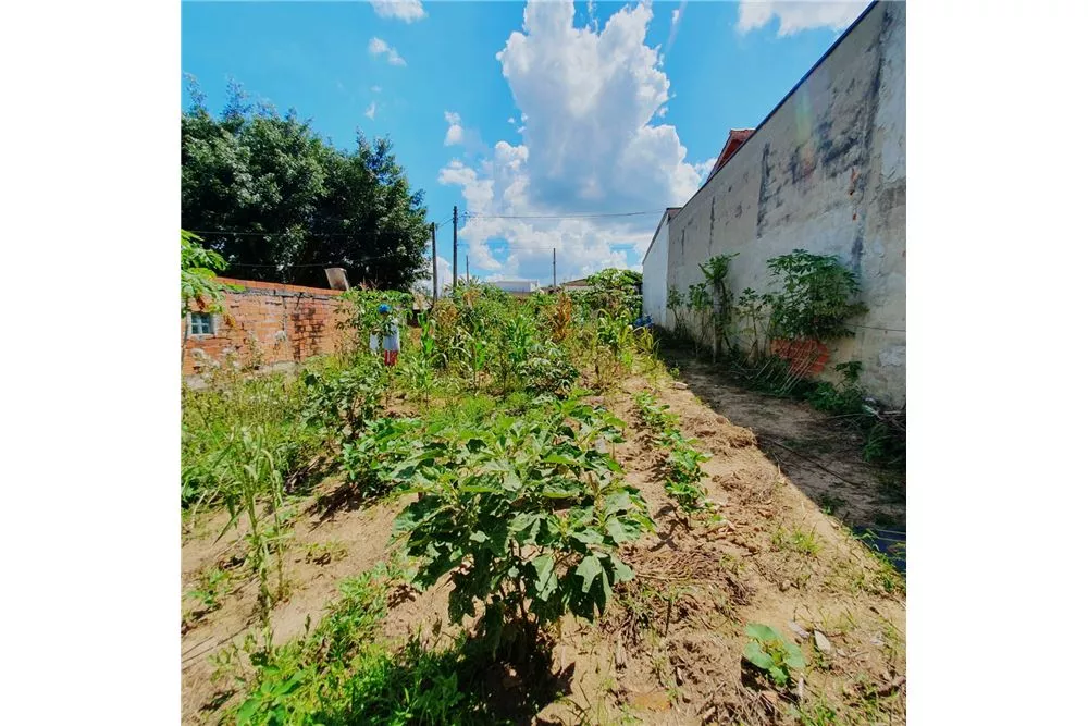 Terreno à venda, 250m² - Foto 3