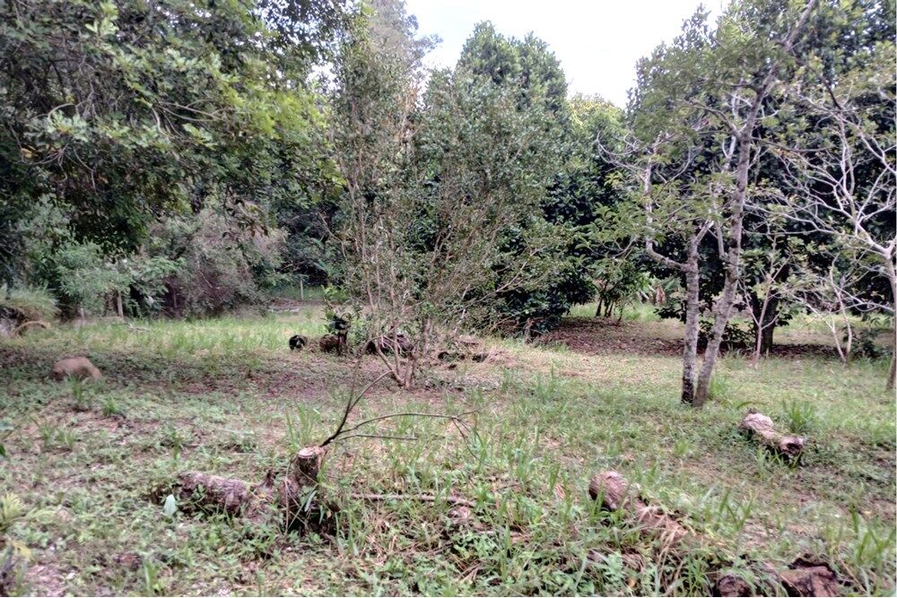 Terreno à venda, 1518m² - Foto 5