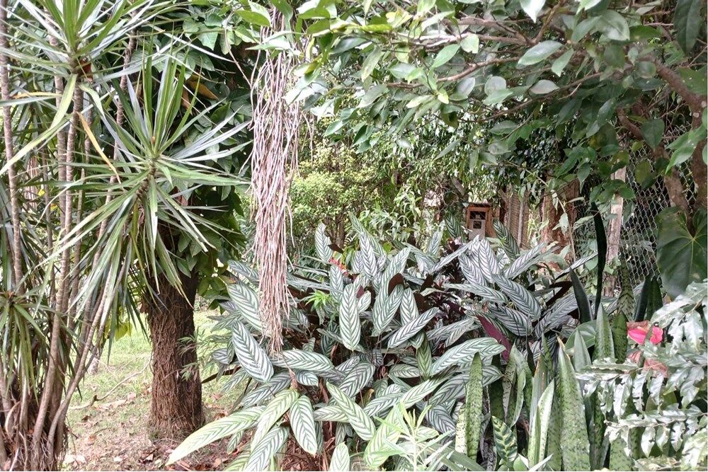 Terreno à venda, 1518m² - Foto 16