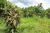 Terreno, 1518 m² - Foto 19