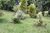 Terreno, 1518 m² - Foto 15