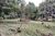 Terreno, 1518 m² - Foto 5
