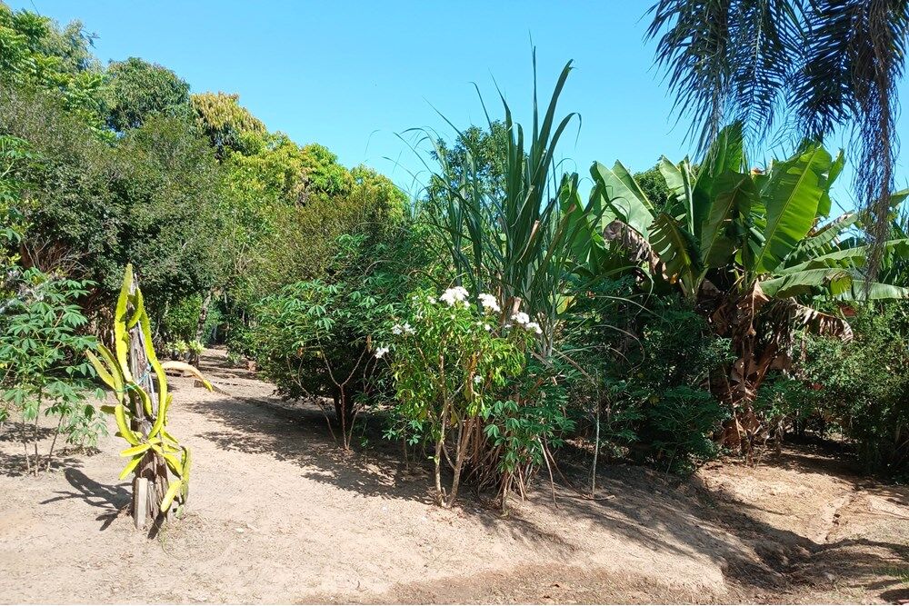Chácara à venda com 2 quartos, 145m² - Foto 17