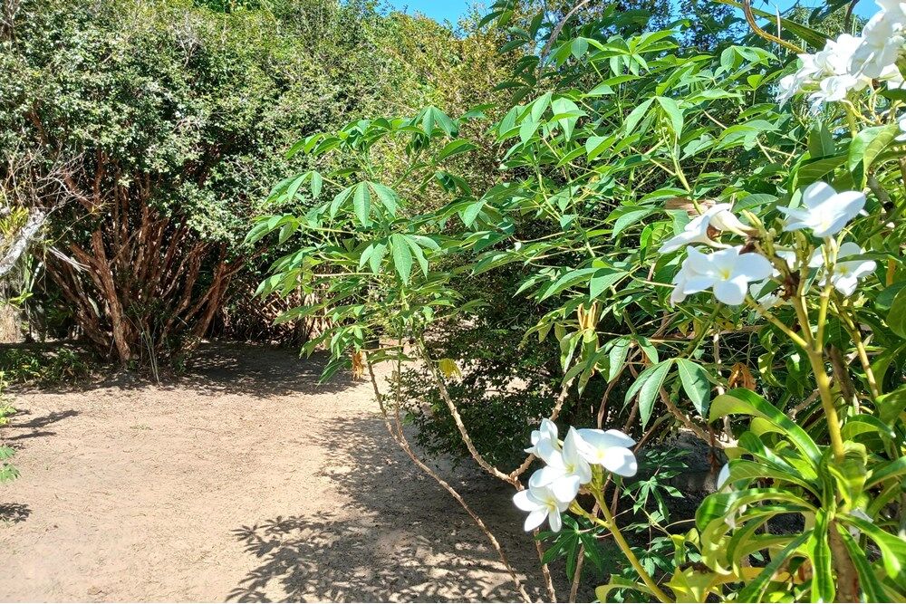Chácara à venda com 2 quartos, 145m² - Foto 20