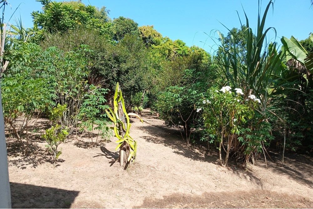 Chácara à venda com 2 quartos, 145m² - Foto 16