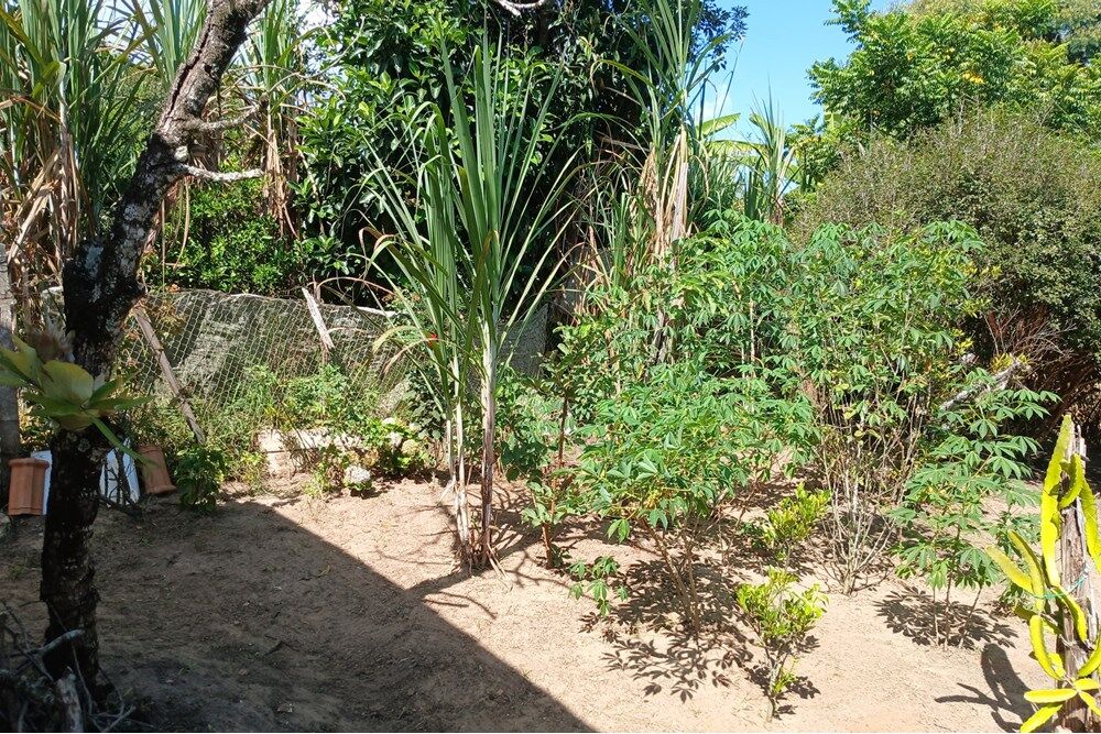 Chácara à venda com 2 quartos, 145m² - Foto 18