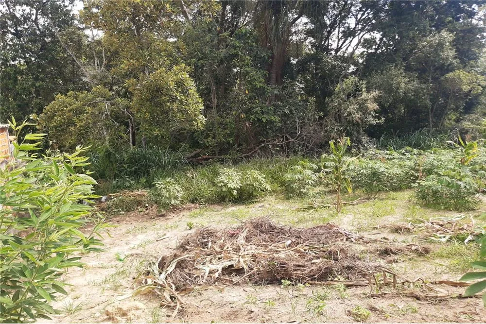 Terreno, 1300 m² - Foto 1