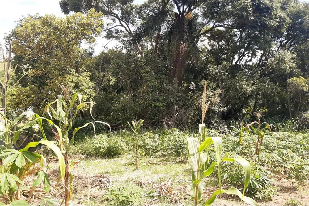 Terreno, 1300 m² - Foto 3