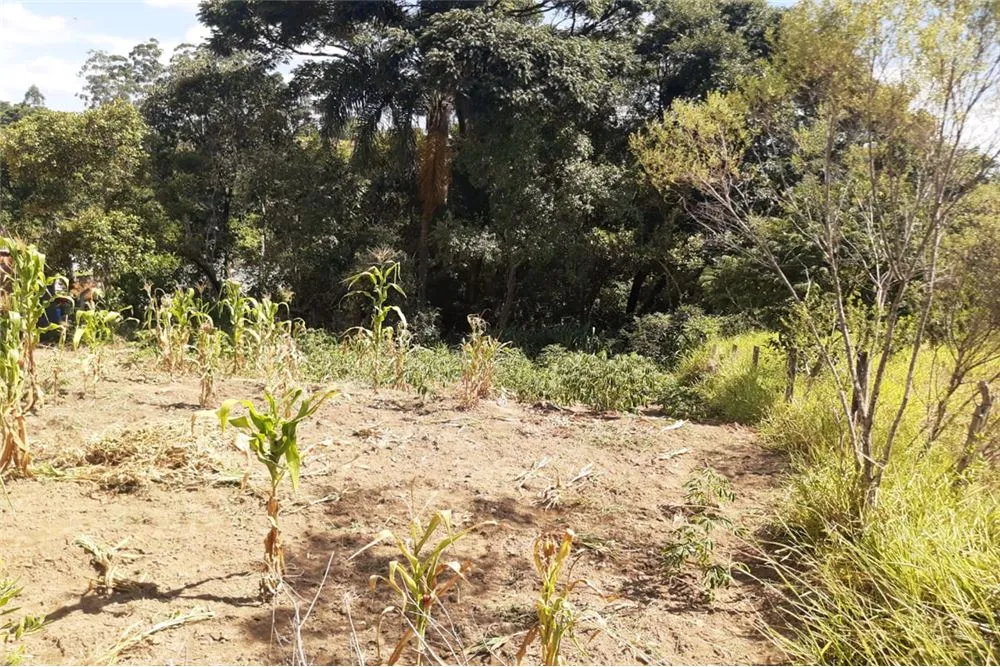 Terreno, 1300 m² - Foto 5