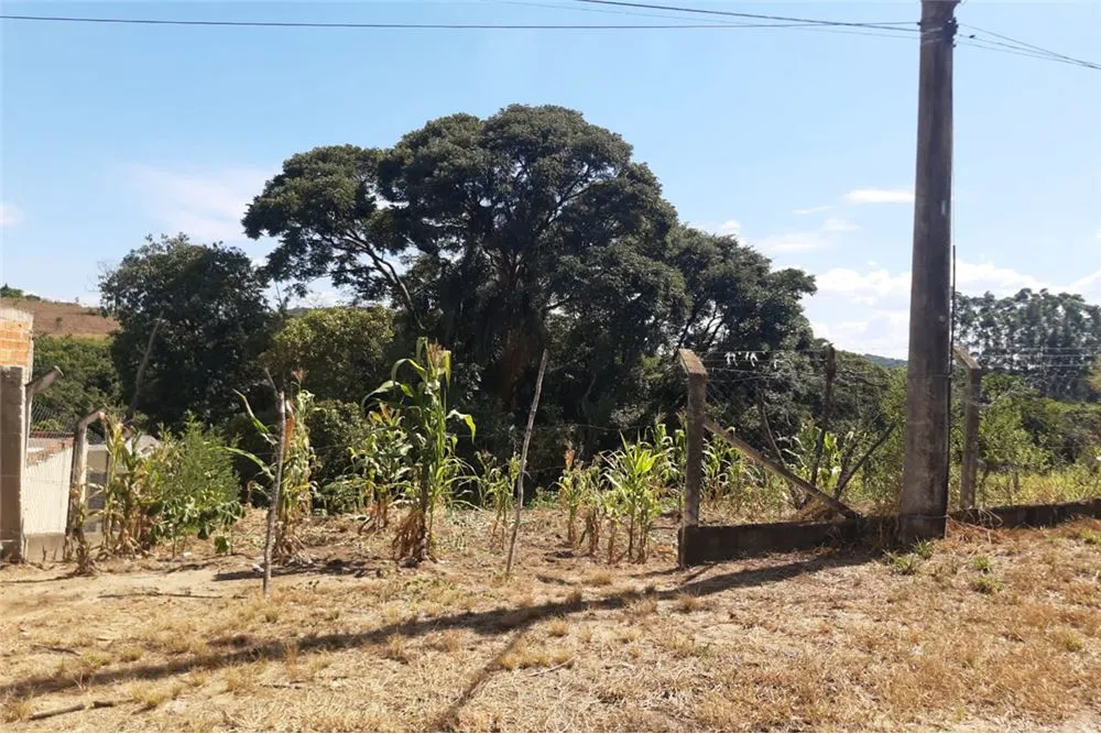 Terreno, 1300 m² - Foto 4