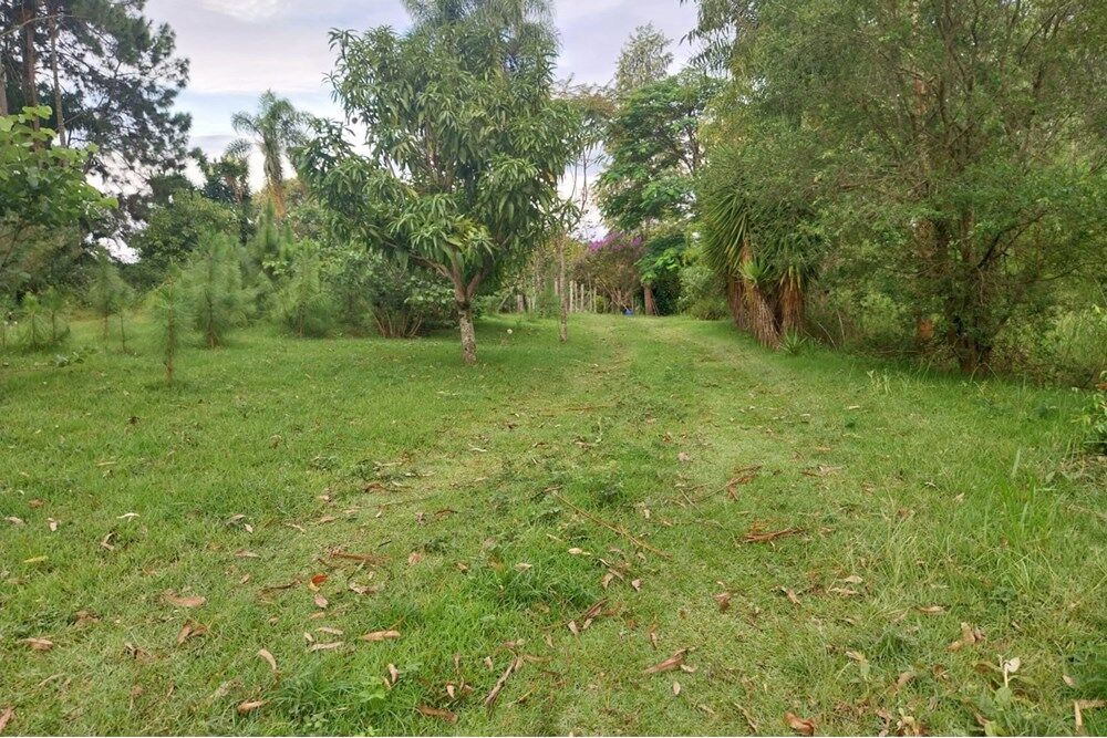 Sítio à venda com 4 quartos, 230m² - Foto 21