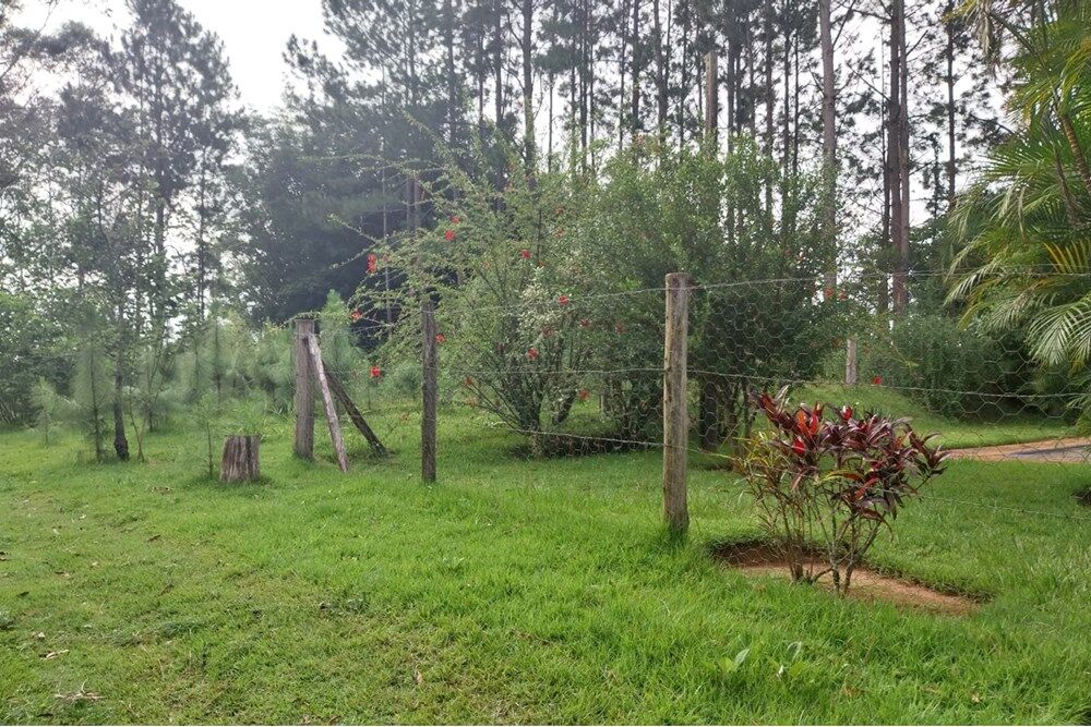 Sítio à venda com 4 quartos, 230m² - Foto 20