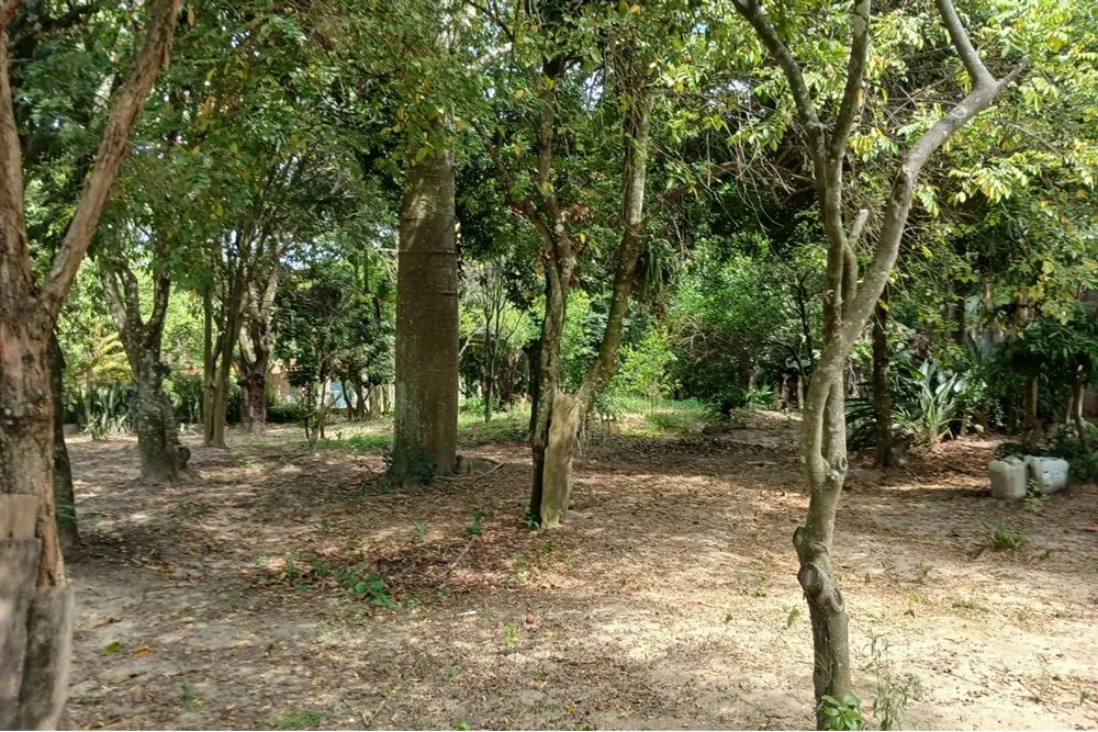 Chácara, 4 quartos, 4270 m² - Foto 1