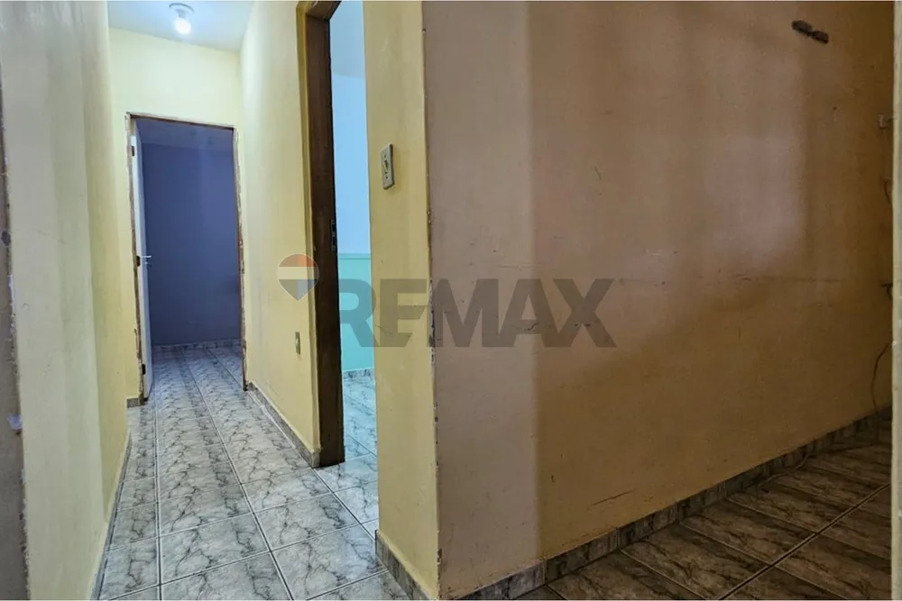 Chácara, 4 quartos, 1000 m² - Foto 2