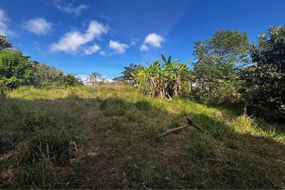 Terreno, 1000 m² - Foto 2