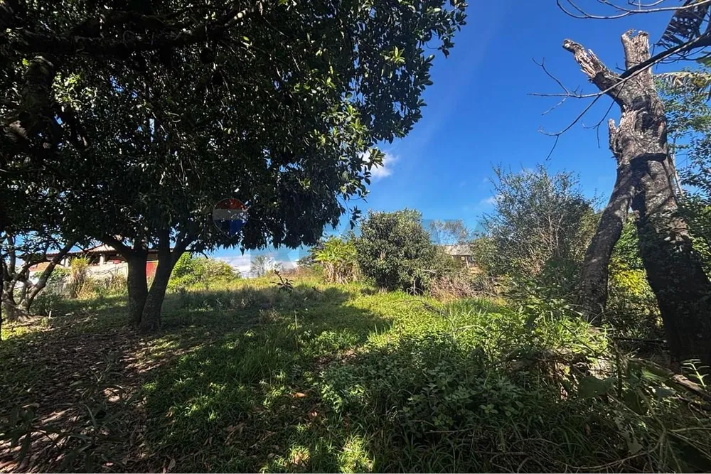 Terreno, 1000 m² - Foto 1