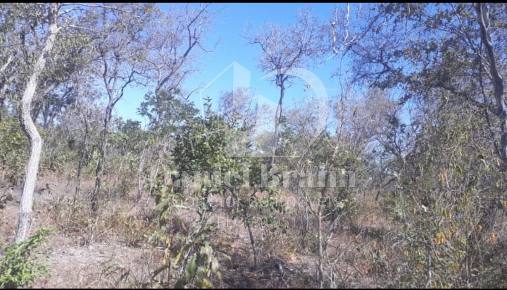 Fazenda - Foto 2