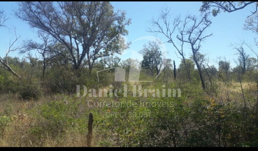 Fazenda - Foto 4