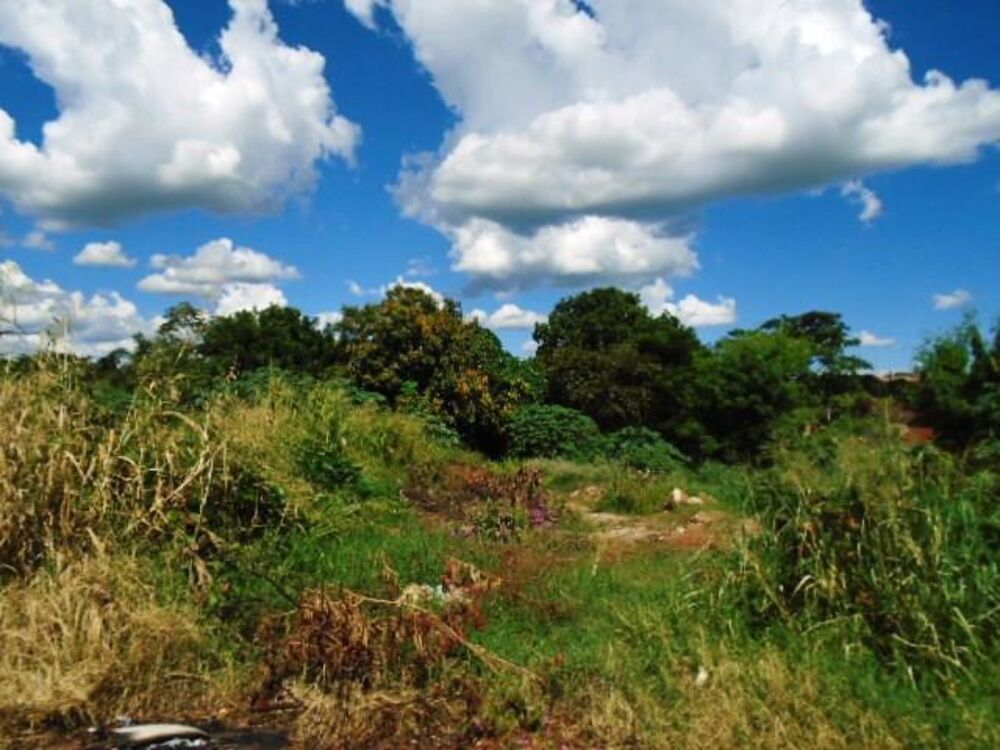 Terreno à venda, 1186 - Foto 1