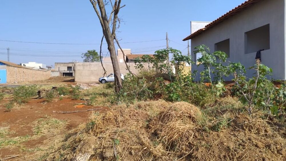 Terreno, 250 m² - Foto 3
