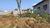 Terreno, 250 m² - Foto 4