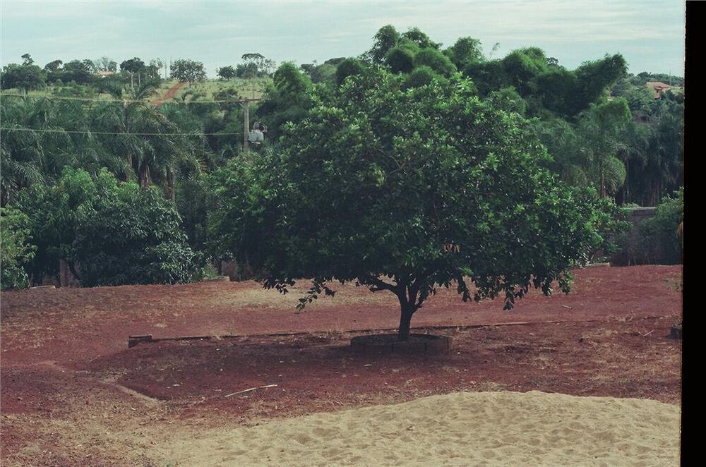Chácara, 3 quartos, 6000 m² - Foto 3