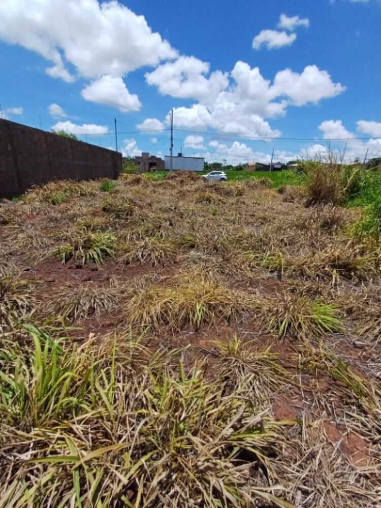 Terreno, 250 m² - Foto 2