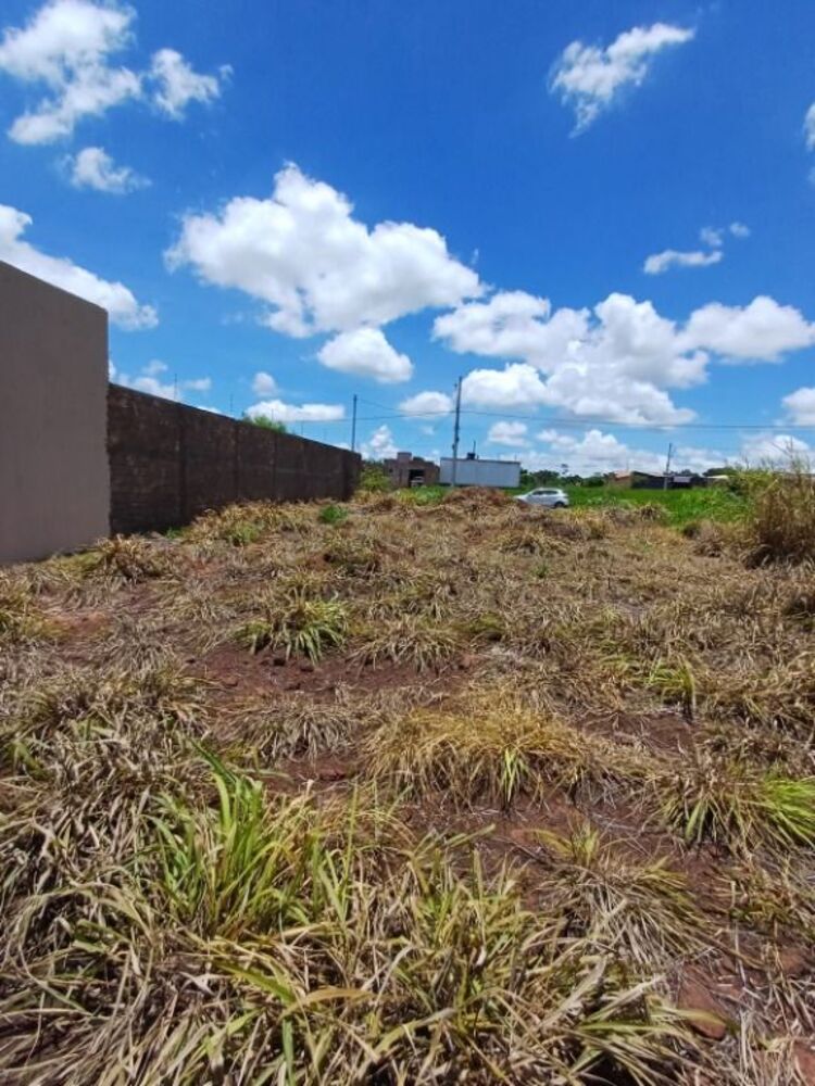 Terreno, 250 m² - Foto 1