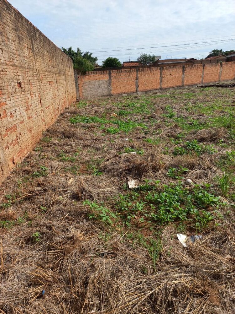 Terreno à venda, 444 - Foto 3