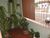 Terreno, 224 m² - Foto 1