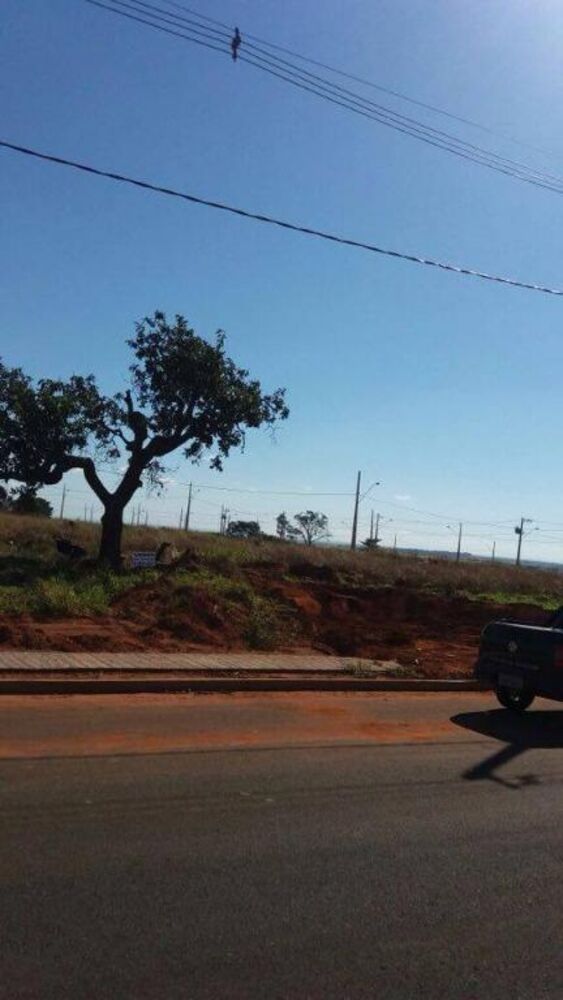 Terreno, 250 m² - Foto 2