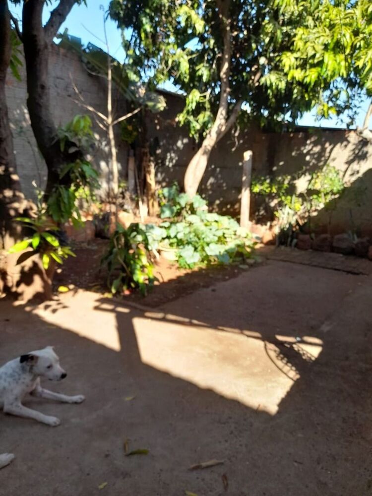 Casa à venda com 2 quartos, 138m² - Foto 8
