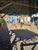 Chácara, 3 quartos, 1600 m² - Foto 4