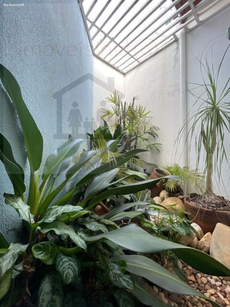 Casa, 5 quartos, 380 m² - Foto 3