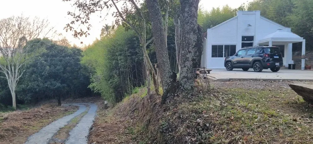 Chácara, 12 quartos, 4 hectares - Foto 4