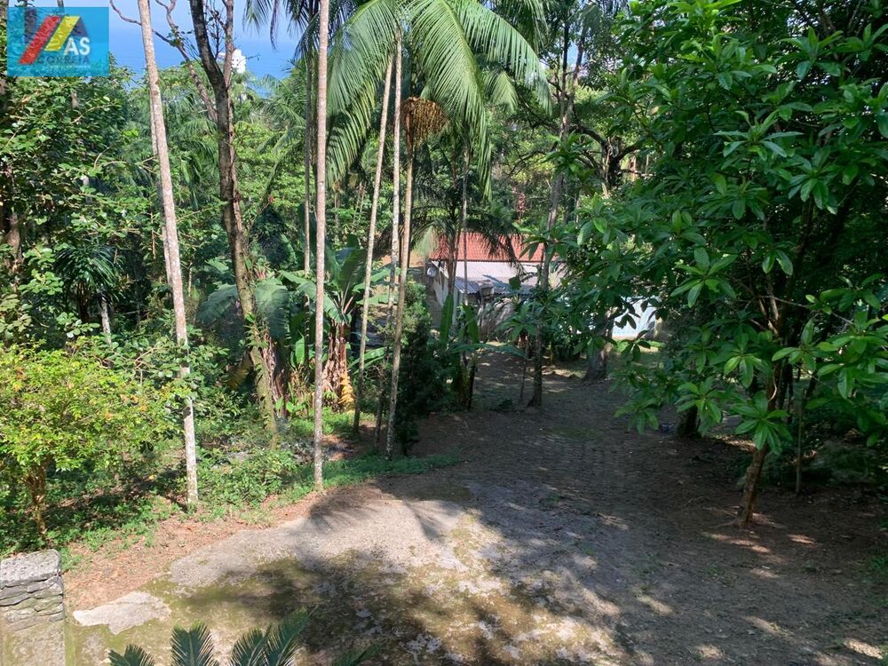 Sítio, 3 quartos, 6 hectares - Foto 7