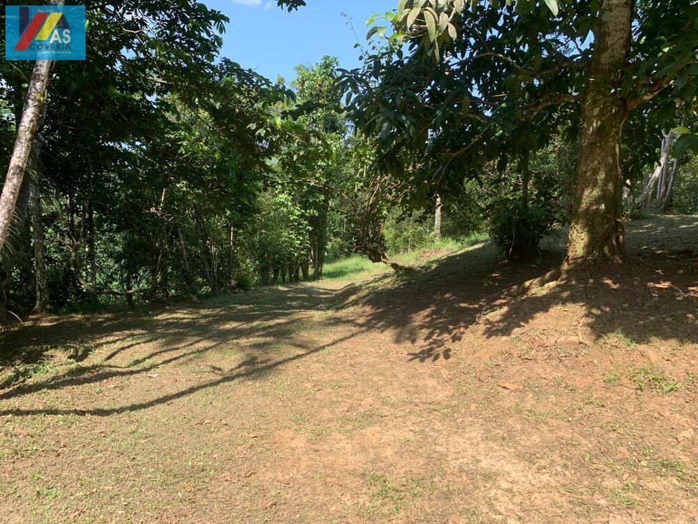 Sítio, 3 quartos, 6 hectares - Foto 2