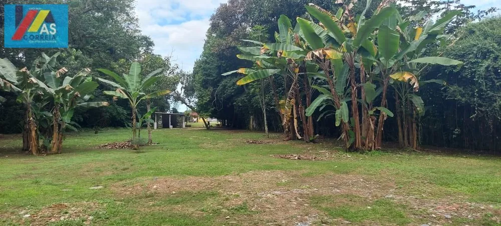 Terreno, 8000 m² - Foto 3