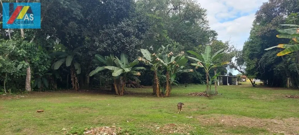 Terreno, 8000 m² - Foto 8