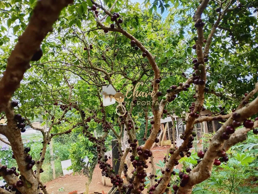 Chácara, 5 quartos, 600 m² - Foto 3