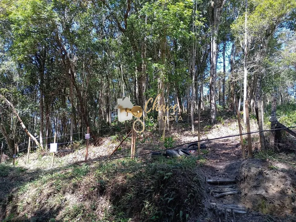 Terreno, 6462 m² - Foto 3
